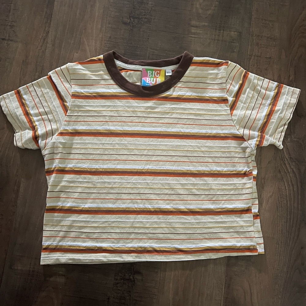 Big Bud Press striped crop top. XXS.